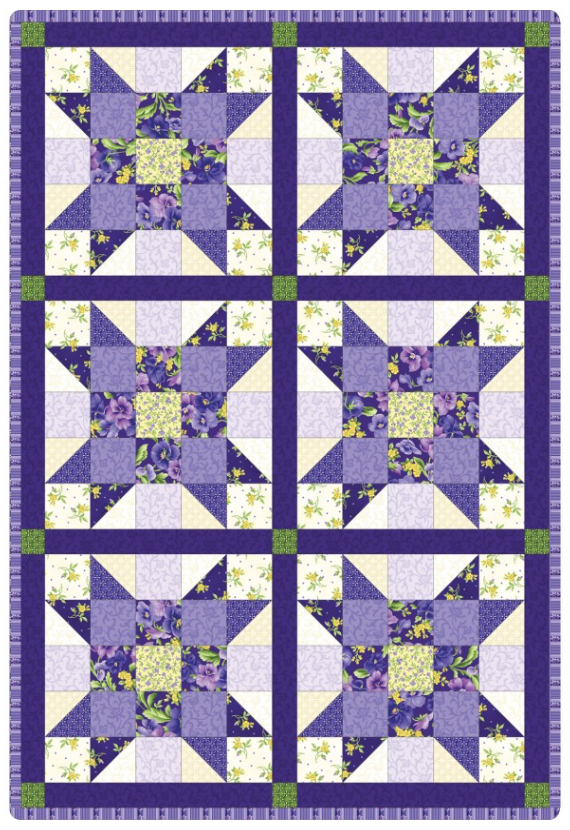 SALE! Emma's Garden,  Pre-cut Sister's Choice Quilt (32"x 47", 6 blocks)