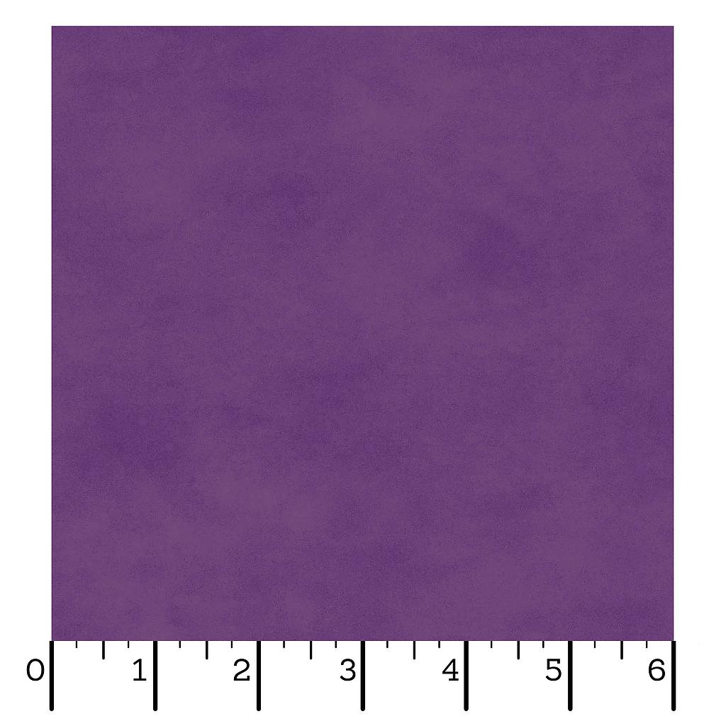 MAS513-VR2, Shadowplay