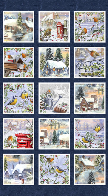 HG-1716-77, Winter Cottage