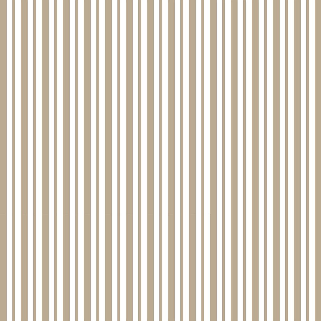 MAS8249-T, Kimberbell Basics