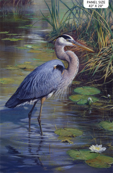 NC-DP24028-49, Northcott, The Great Blue, SALE!