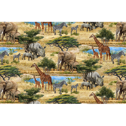 DP23250-12, Savanna - Stonehenge, Digital Print